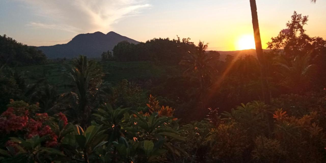 Pondok Lembah Dukuh Homestay Karangasem Dış mekan fotoğraf