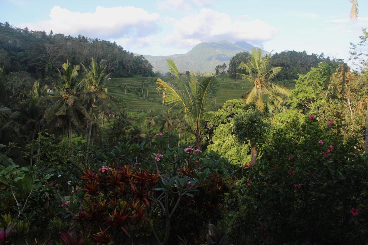 Pondok Lembah Dukuh Homestay Karangasem Dış mekan fotoğraf