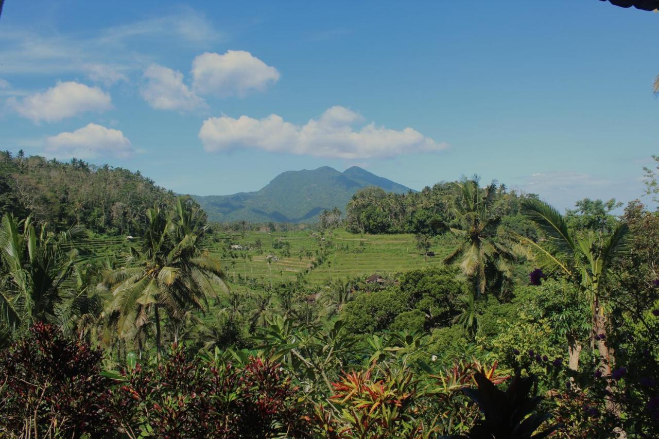 Pondok Lembah Dukuh Homestay Karangasem Dış mekan fotoğraf