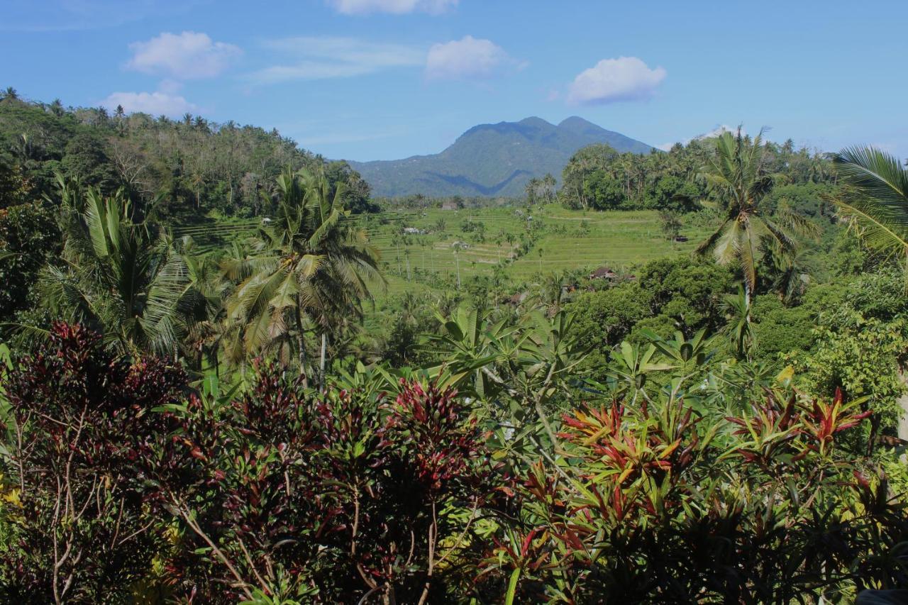 Pondok Lembah Dukuh Homestay Karangasem Dış mekan fotoğraf