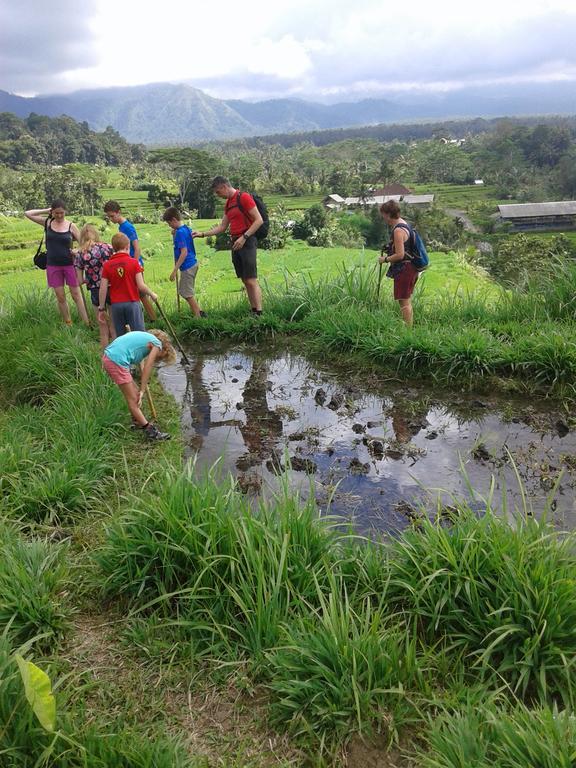 Pondok Lembah Dukuh Homestay Karangasem Dış mekan fotoğraf